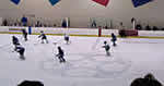 Rec-plex/Ice Rink